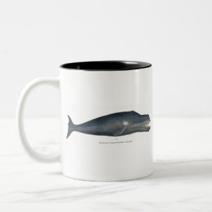 Taza Bicolor Ballena Bowhead