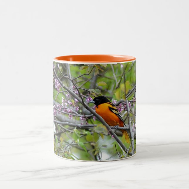 Taza Bicolor Baltimore Oriole (Centro)