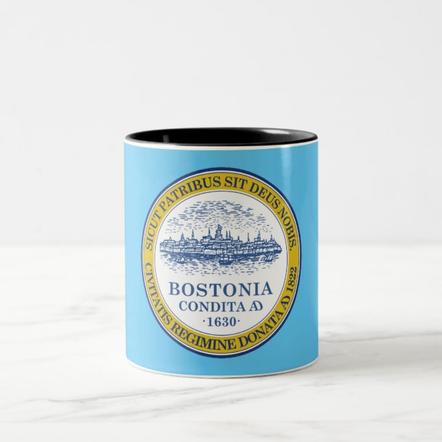 Taza Bicolor Bandera de Boston (Centro)