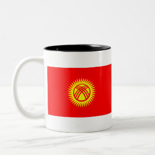 Taza Bicolor Bandera de Kirguistán