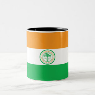 Taza Bicolor Bandera de Miami