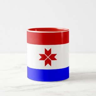 Taza Bicolor Bandera de Mordovia