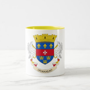 Taza Bicolor Bandera de San Bartolomé