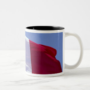 Taza Bicolor bandera francesa