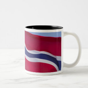 Taza Bicolor Bandera noruega RF)