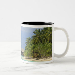 Taza Bicolor Bandos Island Resort, North Male Atoll, The