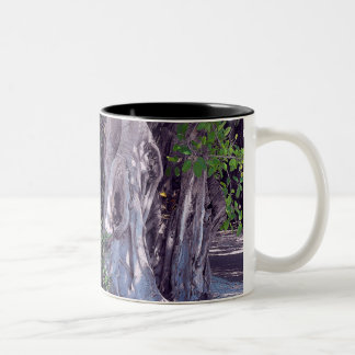 Taza Bicolor Banyan Street Mug