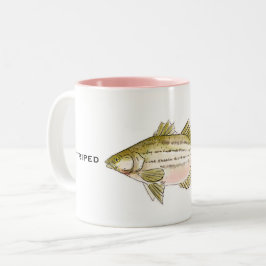 Taza Bicolor Bass rayado | Fish Mug