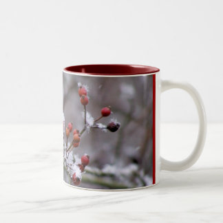 Taza Bicolor Bayas del invierno