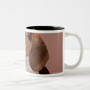 Taza Bicolor Beagle