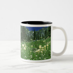 Taza Bicolor Beargrass en el lago Eunice, Mt. Rainier NP, WA,