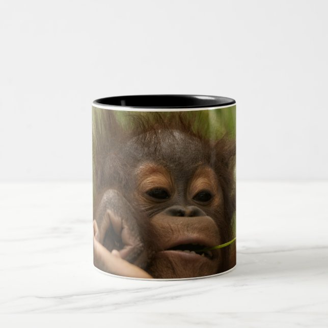 Taza Bicolor Bebé de Orangutan (Centro)