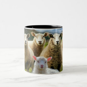 Taza Bicolor Bebé de oveja de oveja