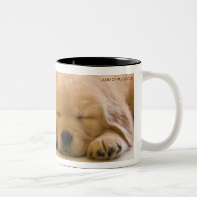 Taza Bicolor Bebés del golden retriever (Derecha)