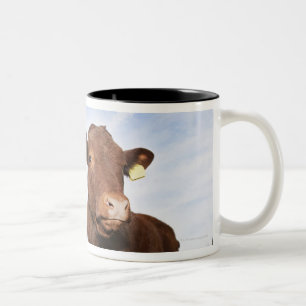 Taza Bicolor Becerro que se coloca en prado