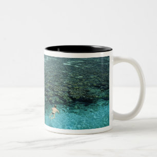 Taza Bicolor Belice, Arrecife de la Barrera, Lighthouse Reef, A
