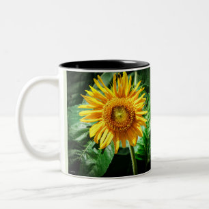 Taza Bicolor Belleza de Girasol