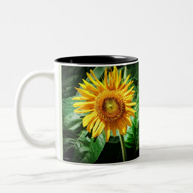 Taza Bicolor Belleza de Girasol (Izquierda)