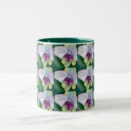 Taza Bicolor Belleza Orquídea