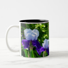 Taza Bicolor Bellezas Iris de dos tonalidades