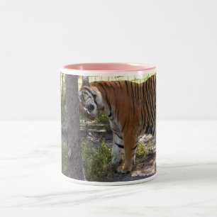 Taza Bicolor Bengalí 008 del tigre