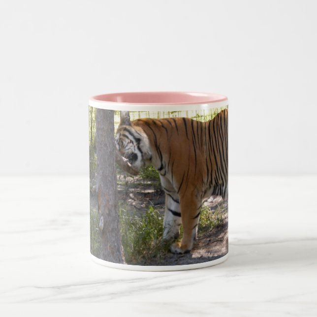 Taza Bicolor Bengalí 008 del tigre (Centro)