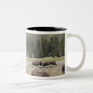 Taza Bicolor Bisonte en el valle de Hayden de Yellowstone
