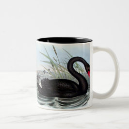 TAZA BICOLOR BLACK SWAN MUG