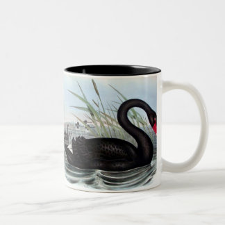 TAZA BICOLOR BLACK SWAN MUG