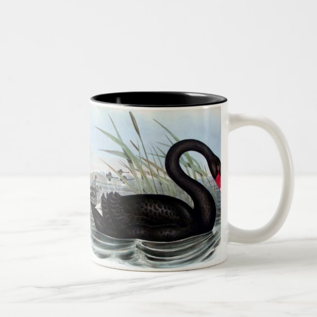 TAZA BICOLOR BLACK SWAN MUG (Derecha)