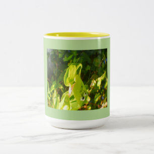 Taza Bicolor Bloques ecológicos ecológicos