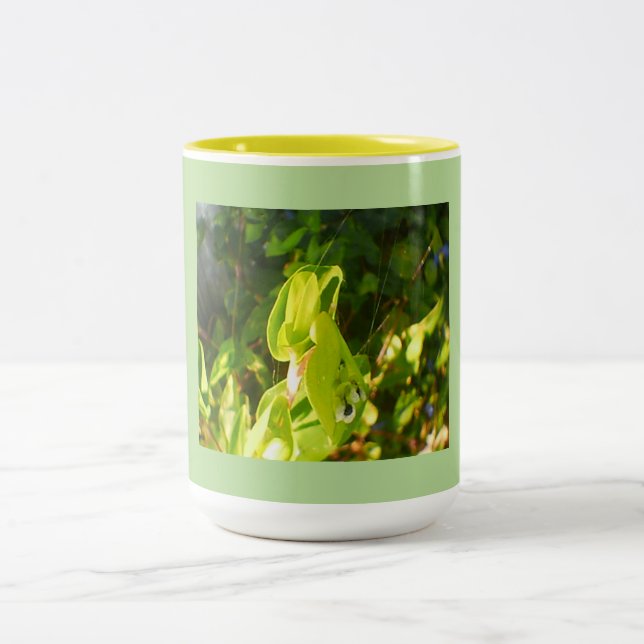Taza Bicolor Bloques ecológicos ecológicos (Centro)