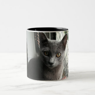Taza Bicolor Blue kitty mug