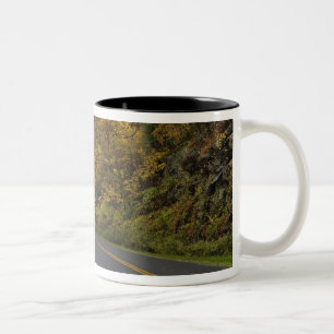 Taza Bicolor Blue Ridge Parkway curvando a través de colores de