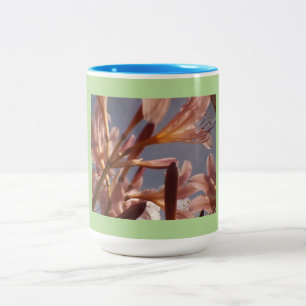 Taza Bicolor Blue Sky Pink Lily