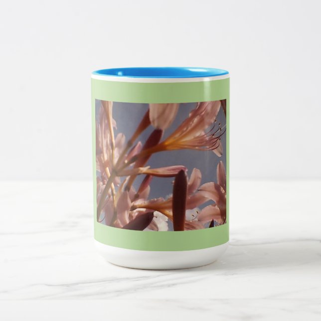 Taza Bicolor Blue Sky Pink Lily (Centro)