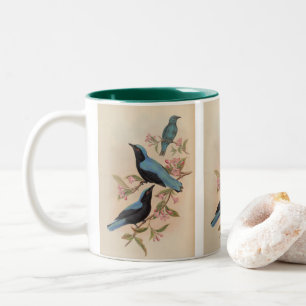 Taza Bicolor Bluebirdia de Borneo por John Gould