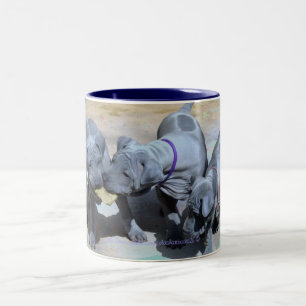 Taza Bicolor "BlueThai Ridgeback-Phu Quoc dog"