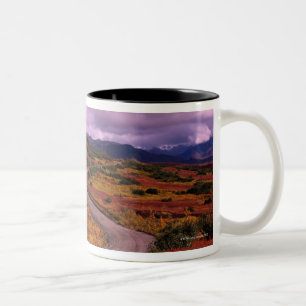 Taza Bicolor Bobina del camino a través de las colinas en el