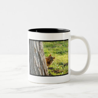 Taza Bicolor Bomba de ardilla