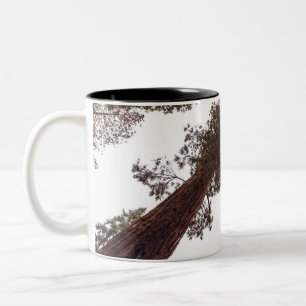Taza Bicolor bosque, árbol