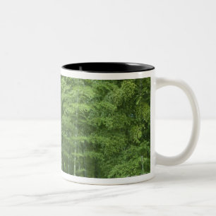 Taza Bicolor Bosque de bambú