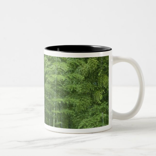 Taza Bicolor Bosque de bambú (Derecha)
