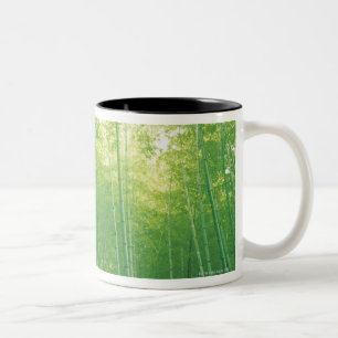 Taza Bicolor Bosque de bambú 2