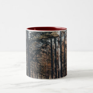 Taza Bicolor Bosque escénico relajante