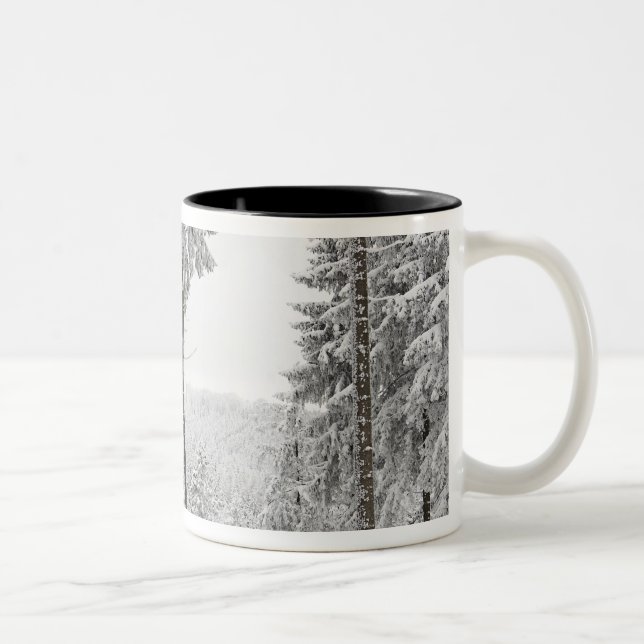 Taza Bicolor Bosque imperecedero en invierno (Derecha)