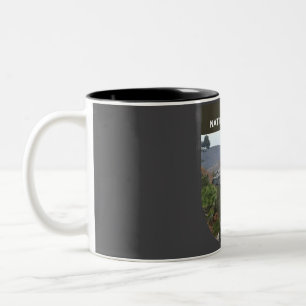 Taza Bicolor Bosque nacional de Ozark