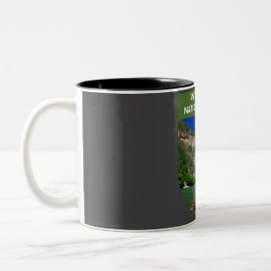 Taza Bicolor Bosque Nacional del Río Blanco - Colorado