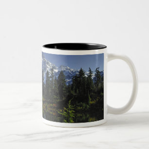 Taza Bicolor Bosque nacional Monte Baker-Snoqualmie