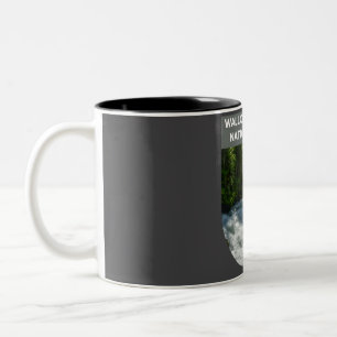 Taza Bicolor Bosque Nacional Wallowa-Whitman - Nuevo Hampshire